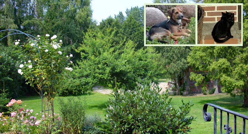Landhaus Heidi - Ferienwohnungen im Wendland - Garten mit Kater und Hund